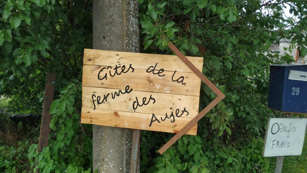 Gite Familial Ferme Des Aujes Falaen Onhaye المظهر الخارجي الصورة
