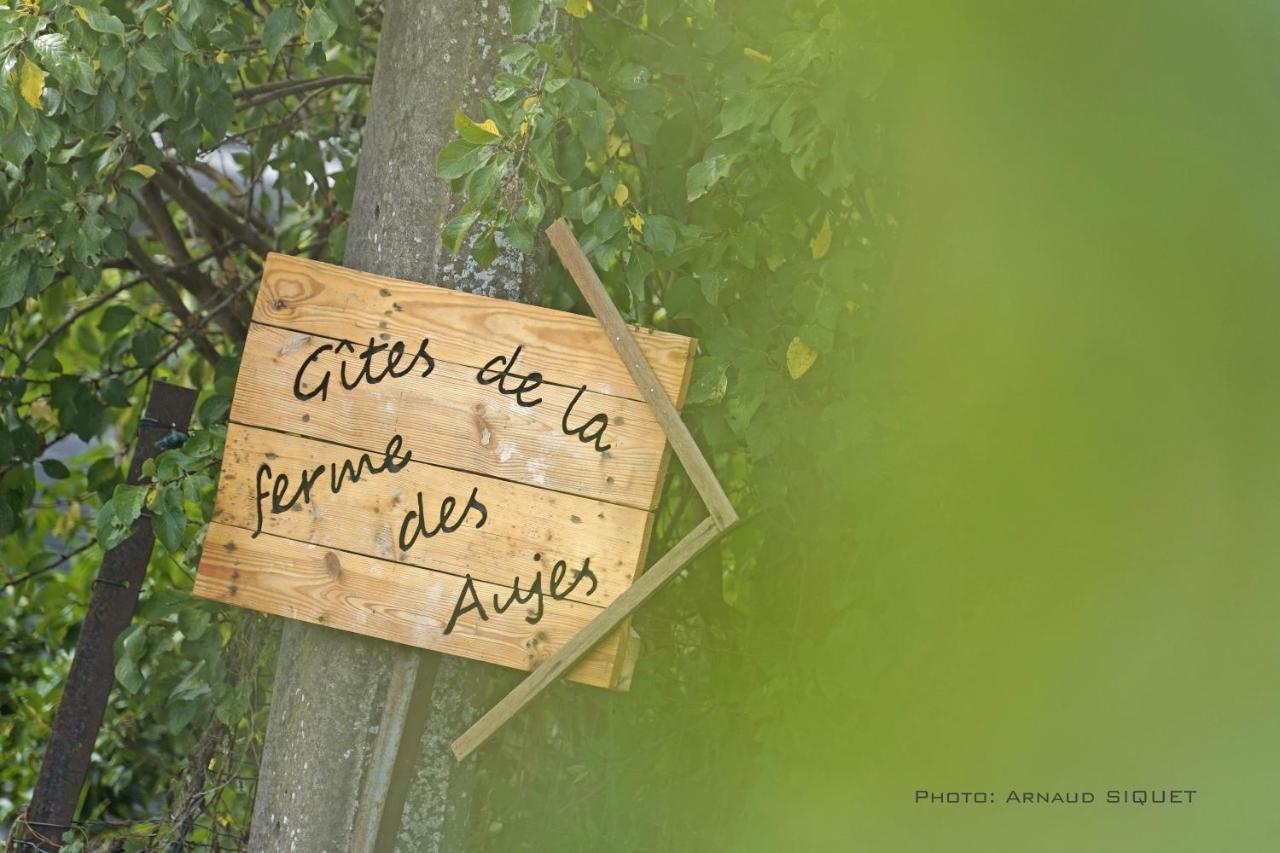 Gite Familial Ferme Des Aujes Falaen Onhaye المظهر الخارجي الصورة